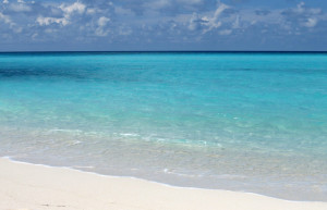 Palm Beach Resort Maldives – фотографии Мальдивских островов