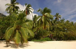 Пляж на острове Силуэт, Сейшелы. Фото 14 – фотографии Сейшельских островов