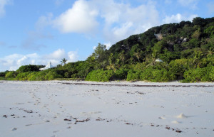 Остров Кузин. Фото 3 – фотографии Сейшельских островов