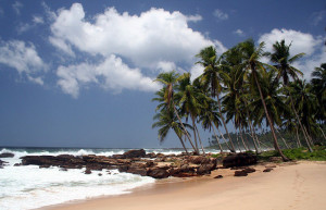 Тангалле, Шри-Ланка, фото № 52387 – фотографии Шри-Ланки