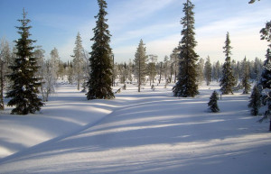 Луосто, Финляндия, фото № 74676 – фотографии Финляндии