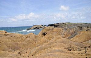 Саванна ископаемых – фотографии Мартиники