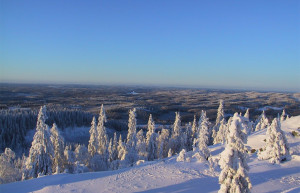Коли, Финляндия, фото № 74563 – фотографии Финляндии
