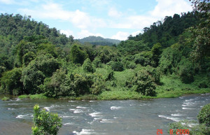 Китулгала, Шри-Ланка, фото № 51497 – фотографии Шри-Ланки