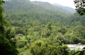 Китулгала, Шри-Ланка, фото № 51499 – фотографии Шри-Ланки