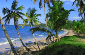 Пуэрто-Плата, Доминикана, фото № 30476 – фотографии Доминиканы