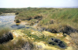 Национальный парк Омо, Эфиопия. Фото 5 – фотографии Эфиопии