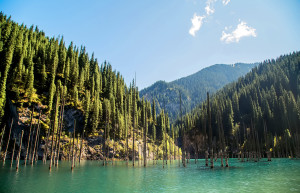Красивый лес пленён озером Каинди (Lake Kaindy), Казахстан – фотографии Казахстана