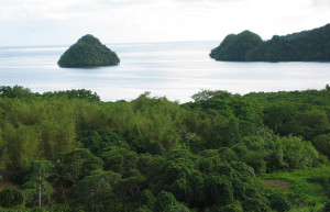 Бабелдаоб остров (Babeldaob Island) – фотографии Палау