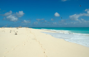 Пляж на острове Бёрд. Фото 2 – фотографии Сейшельских островов