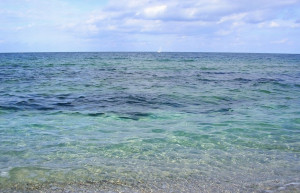 Дюны, Болгария, фото № 26490 – фотографии Болгарии