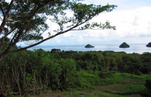 Бабелдаоб остров – фотографии Палау