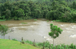 Китулгала, Шри-Ланка, фото № 51495 – фотографии Шри-Ланки