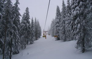 Природа в Чепеларе, Болгария – фотографии Болгарии