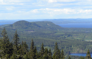 Коли, Финляндия, фото № 74561 – фотографии Финляндии