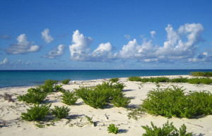 Остров Бёрд. Фото 3 – фотографии Сейшельских островов