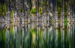 Старый лес елей утонул в озере Каинди (Lake Kaindy) в Казахстане – фотографии Казахстана