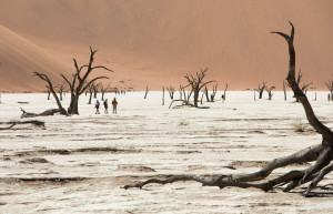Знаменитая мёртвая долина в Намибии – фотографии Намибии