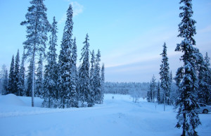 Луосто, Финляндия, фото № 74674 – фотографии Финляндии