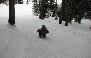 Поклюка, Словения, фото № 57424 – фотографии Словении
