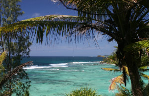 Остров Аноним – фотографии Сейшельских островов