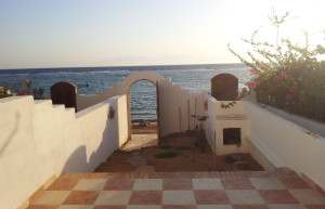 Вид с крыльца дома – фотографии Египта