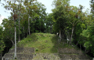Развалины Караколь в Белизе – фотографии Белиза