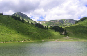 Озеро Национального парка, Черногория. Фото 16 – фотографии Черногории