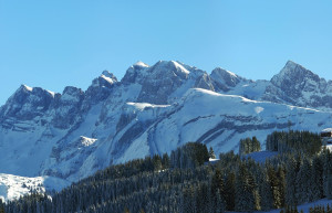 Природа в Сэн-Жан-Д'Ольп, Франция – фотографии Франции