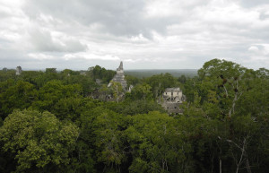 Город Тикаль, Гватемала – фотографии Гватемалы