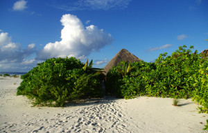 Остров Хамза (Hamza island) – фотографии Мальдивских островов
