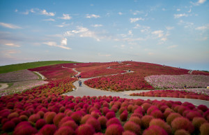 Ухоженные сады парка Хитачи в Хитатинака, Япония – фотографии Японии