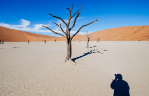 Пейзажи мёртвой долины (Deadvlei), Намибия – фотографии Намибии