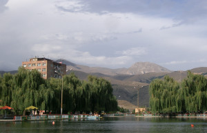 Ивы и жилой дом. Ванадзор. Армения. – фотографии Армении