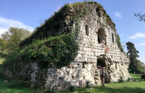 Руины  в зелени. Мюссера – фотографии Абхазии