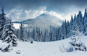 Снежный лес и горы. Цахкадзор. Армения – фотографии Армении