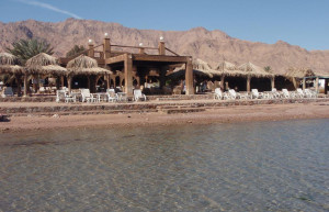 Нувейба, Египет, фото № 35363 – фотографии Египта