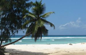 Пляж на острове Силуэт, Сейшелы. Фото 16 – фотографии Сейшельских островов