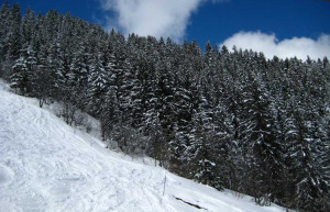 Природа в Брид-ле-Бэн, Франция – фотографии Франции