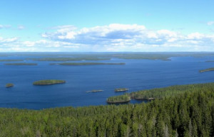 Коли, Финляндия, фото № 74562 – фотографии Финляндии