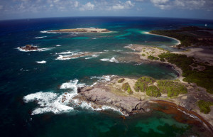 Саванна ископаемых на юге острова Мартиника – фотографии Мартиники