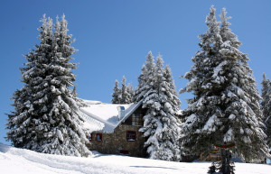 Природа в Пампорово, Болгария. Фото 1 – фотографии Болгарии