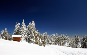 Зима в Пампорово, Болгария – фотографии Болгарии