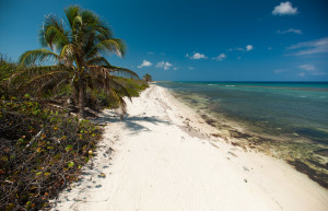 Пляжи на Литтл-Каймане, Каймановы острова. Фото 4 – фотографии Каймановых островов