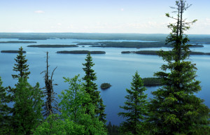 Коли, Финляндия, фото № 74565 – фотографии Финляндии