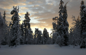 Луосто, Финляндия, фото № 74675 – фотографии Финляндии