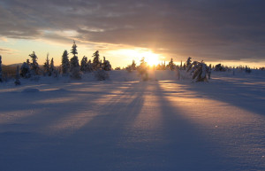 Луосто, Финляндия, фото № 74678 – фотографии Финляндии