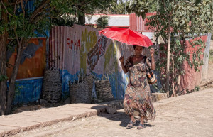 Горожанка – фотографии Эфиопии