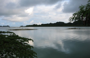 Остров Бабелдаоб – фотографии Палау