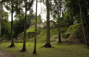 Tikal – фотографии Гватемалы